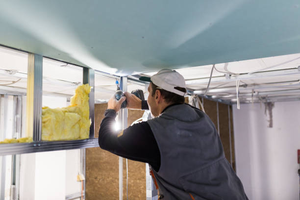 Best Fiberglass Insulation in Edwardsvle, IL