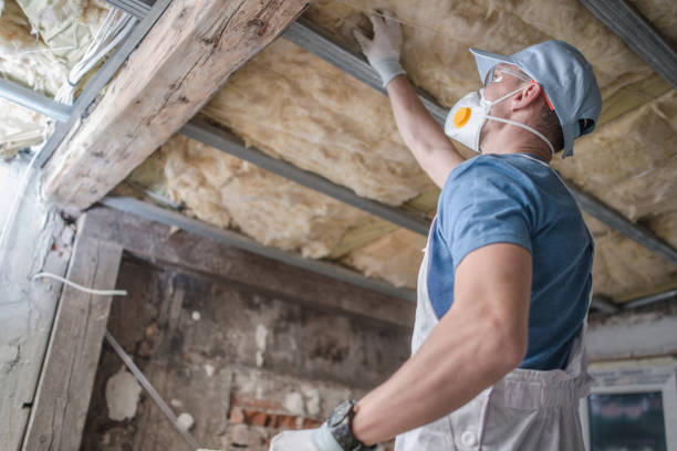 Best Insulation for Specific Applications in Edwardsvle, IL