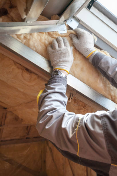 Best Insulation Maintenance and Repair in Edwardsvle, IL