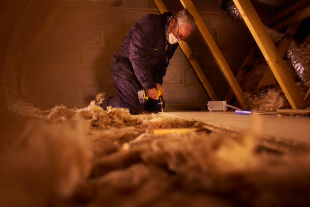 Best Specialized Insulation Services in Edwardsvle, IL